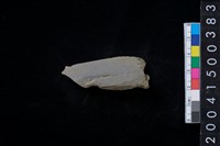 藏品(石鏃殘件)的圖片