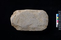 藏品(磨製石斧)的圖片