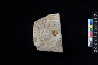 藏品(磨製石斧殘件)的圖片