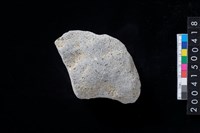 藏品(磨製石斧殘件)的圖片