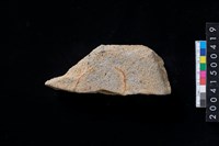 藏品(磨製石斧殘件)的圖片