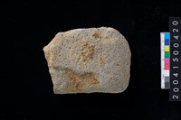 藏品(磨製石斧殘件)的圖片