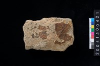 藏品(磨製石斧殘件)的圖片