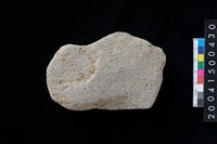 藏品(磨製石斧殘件)的圖片