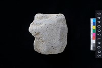 藏品(磨製石斧殘件)的圖片