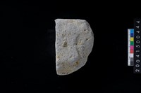 藏品(磨製石斧殘件)的圖片