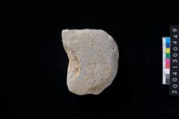 藏品(磨製石斧殘件)的圖片