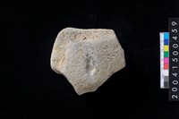 藏品(磨製石斧殘件)的圖片