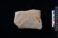 藏品(磨製石斧殘件)的圖片