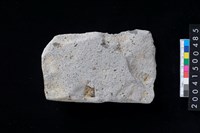 藏品(磨製石斧)的圖片