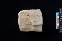 藏品(磨製石斧殘件)的圖片