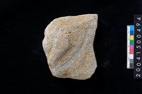 藏品(磨製石斧殘件)的圖片