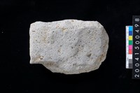 藏品(磨製有肩石斧)的圖片