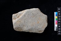 藏品(磨製石斧)的圖片