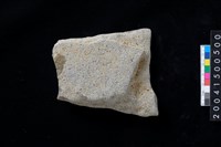 藏品(磨製石斧殘件)的圖片