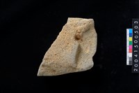 藏品(磨製石斧殘件)的圖片