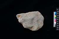 藏品(磨製石斧殘件)的圖片