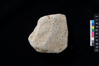 藏品(磨製石斧殘件)的圖片