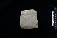 藏品(磨製石斧殘件)的圖片