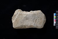 藏品(磨製石斧)的圖片