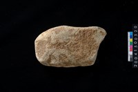 藏品(磨製石斧殘件)的圖片