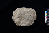 藏品(磨製石斧殘件)的圖片