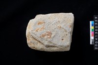 藏品(磨製石斧殘件)的圖片