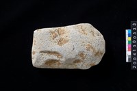 藏品(磨製石斧)的圖片