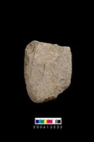 藏品(磨製石斧殘件)的圖片