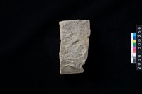 藏品(打製石斧)的圖片