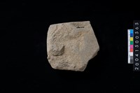 藏品(磨製石斧殘件)的圖片