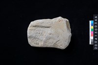 藏品(磨製石斧)的圖片