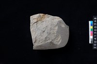 藏品(磨製石斧殘件)的圖片