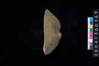 藏品(磨製石斧殘件)的圖片