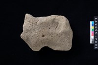 藏品(磨製石斧)的圖片