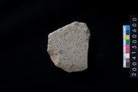 藏品(磨製石斧殘件)的圖片