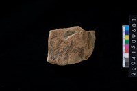 藏品(磨製石斧殘件)的圖片