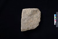 藏品(磨製石斧殘件)的圖片