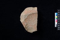 藏品(磨製石斧殘件)的圖片