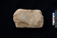 藏品(磨製石斧)的圖片