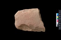 藏品(打製石斧殘件)的圖片