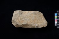 藏品(磨製石斧殘件)的圖片