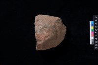 藏品(磨製石斧殘件)的圖片