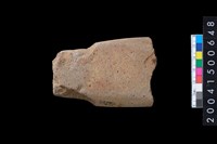 藏品(磨製有肩石斧殘件)的圖片