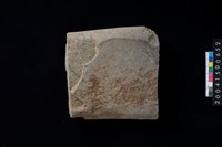 藏品(磨製石斧殘件)的圖片