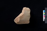 藏品(磨製石斧殘件)的圖片