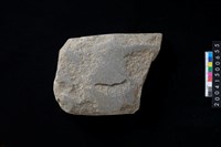 藏品(磨製石斧殘件)的圖片