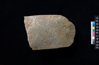 藏品(磨製石斧殘件)的圖片