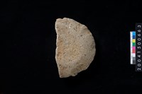 藏品(磨製石斧殘件)的圖片