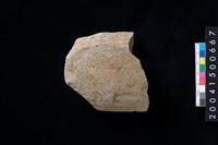 藏品(磨製石斧殘件)的圖片